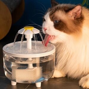 Transparent Pet‎ Water Fountain Automatic Cat & Dog Flower USB Powered Dispenser